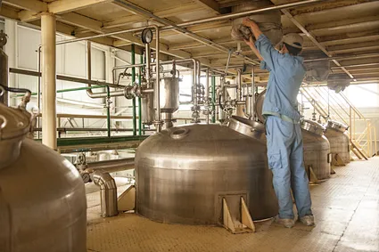 Anhydrous citric acid
